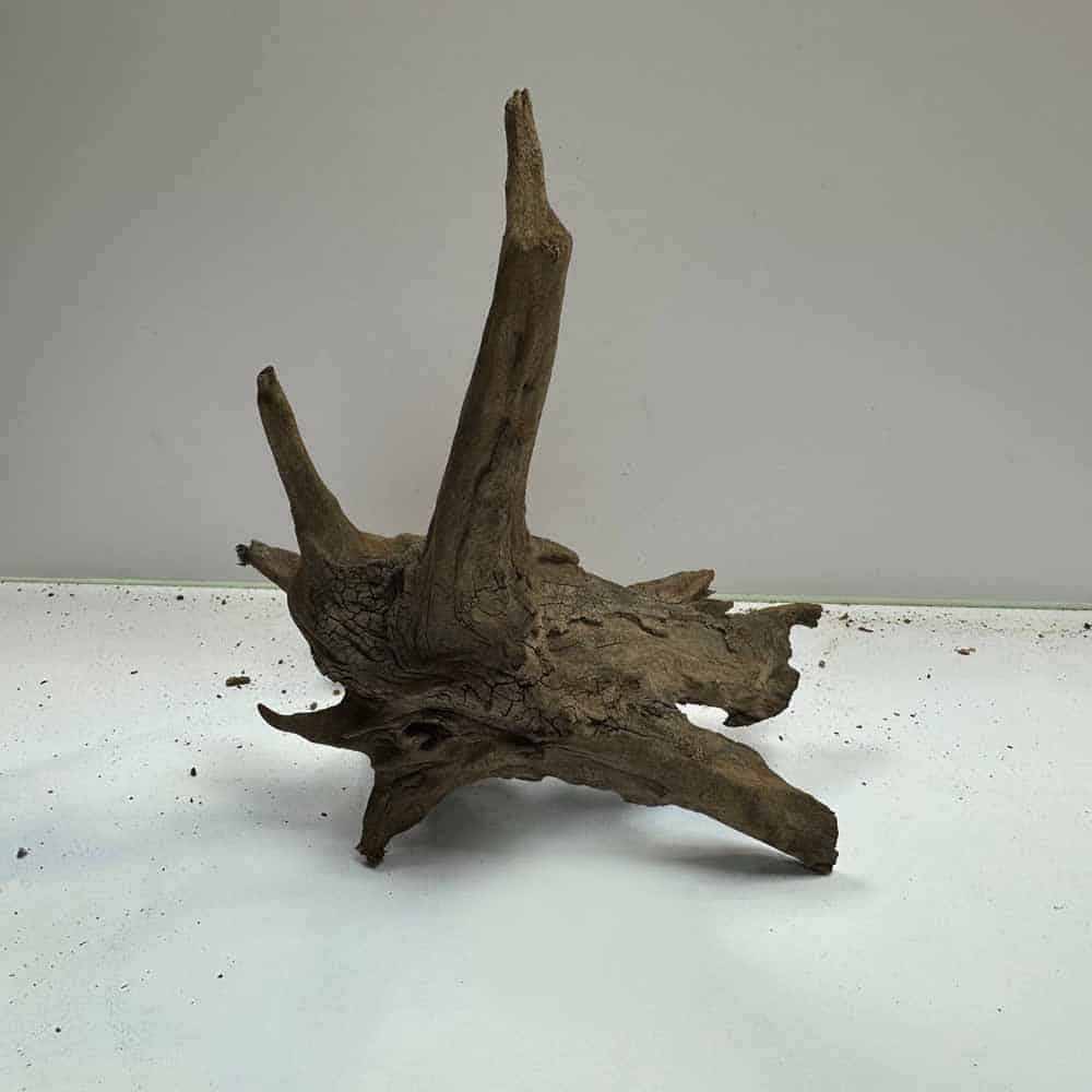 IMAGE-1404-06-04-21_32_53